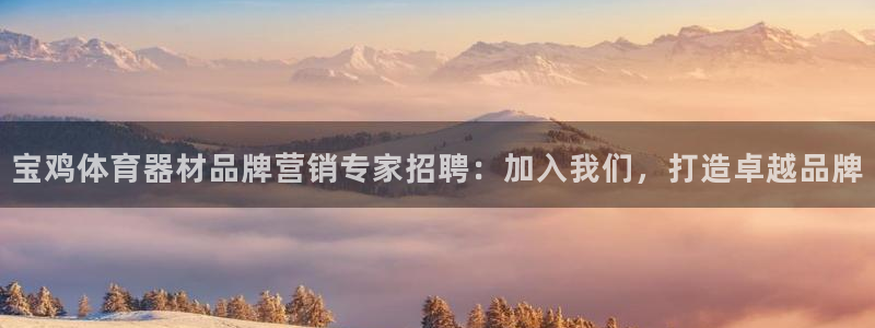 极悦平台登录入口注册账号：宝鸡体育器材品牌营销专家招