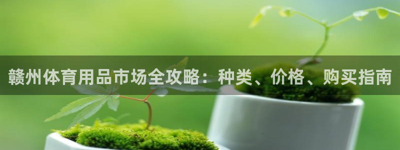 极悦娱乐官网最新版本更新内容视频：赣州体育用品市场全