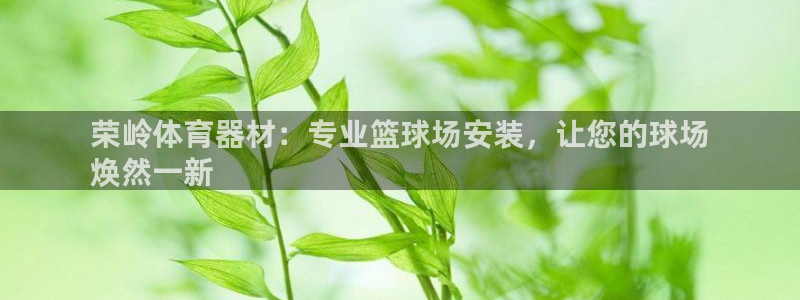 极悦官网的登录方法是什么：荣岭体育器材：专业篮球场安