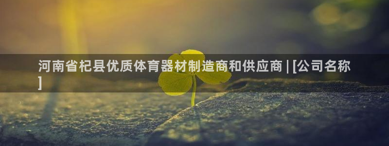 极悦平台代理：河南省杞县优质体育器材制造商和供应商 