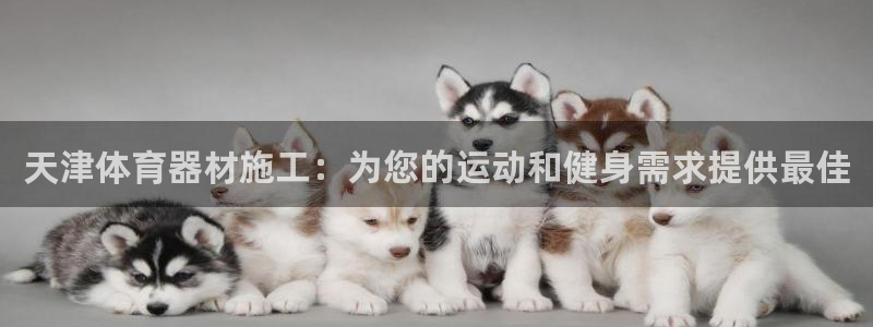 极悦娱乐的创始人背景故事简介：天津体育器材施工：为您