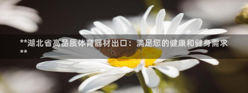 极悦平台官网登录网址是什么：**湖北省高品质体育器材