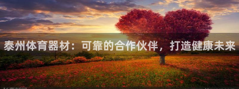 极悦平台是什么公司：泰州体育器材：可靠的合作伙伴，打