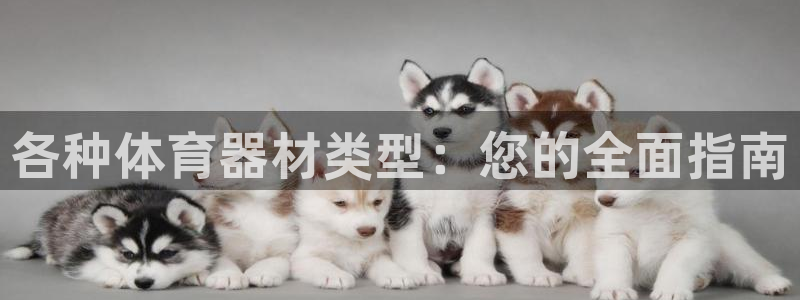 极悦官方网站app下载：各种体育器材类型：您的全面指