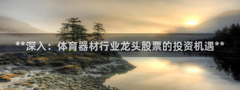 极悦娱乐的最新版本更新内容在哪：**深入：体育器材行