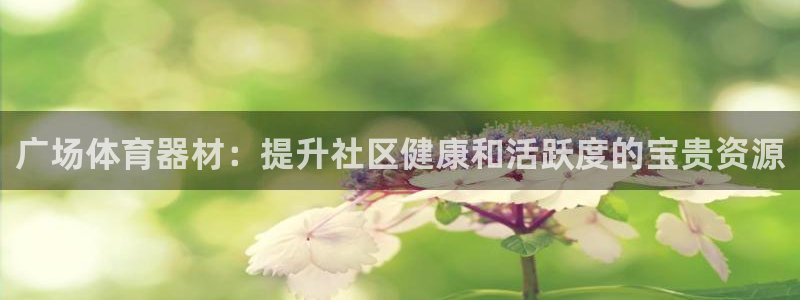 极悦平台平台注册方法与步骤图：广场体育器材：提升社区