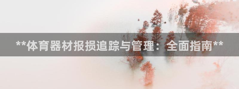 极悦平台是干嘛的：**体育器材报损追踪与管理：全面指