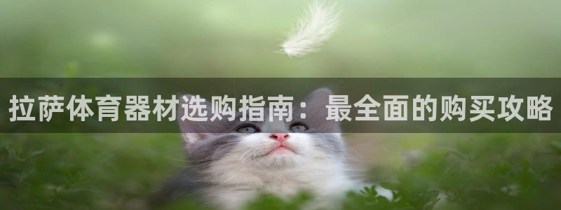 极悦平台官网登录网址是什么：拉萨体育器材选购指南：最
