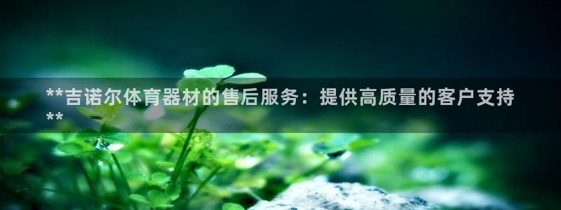 极悦平台网址皮皮虾：**吉诺尔体育器材的售后服务：提