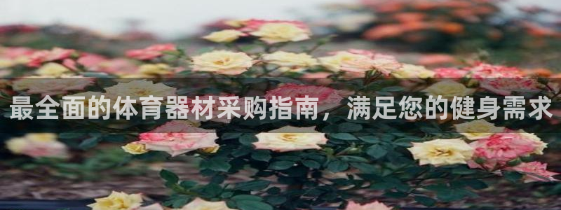 极悦平台的注册流程及注意事项有哪些：最全面的体育器材