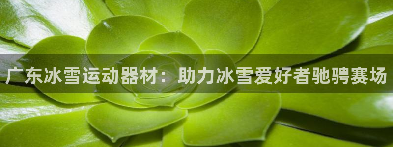 极悦娱乐代理人是谁呀：广东冰雪运动器材：助力冰雪爱好