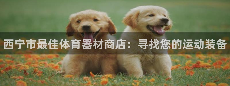 极悦娱乐贴吧：西宁市最佳体育器材商店：寻找您的运动装