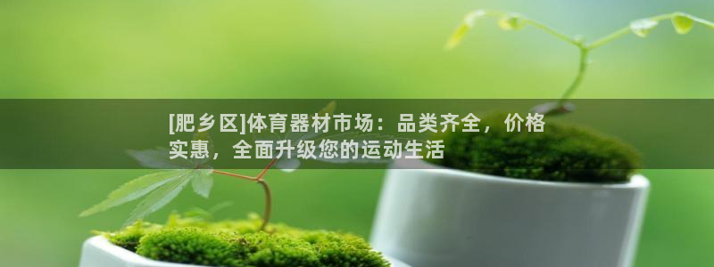 极悦娱乐下载安装手机版：[肥乡区]体育器材市场：品类