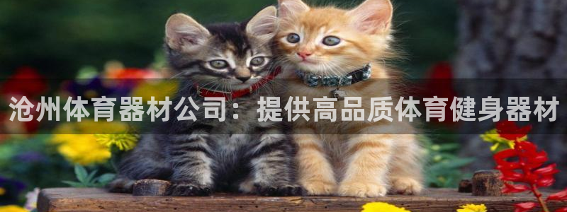 极悦平台注册用户名验证失败：沧州体育器材公司：提供高