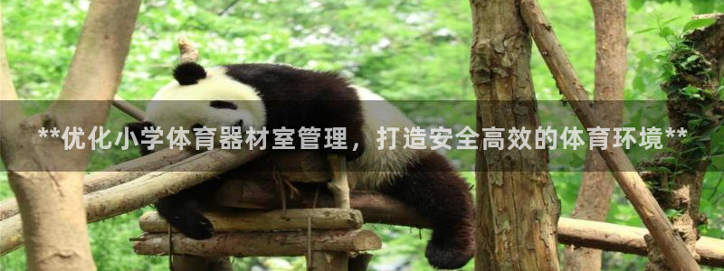 极悦平台使用教程图解：**优化小学体育器材室管理，打