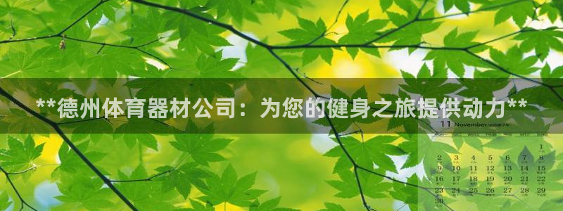 极悦是什么牌子空调：**德州体育器材公司：为您的健身