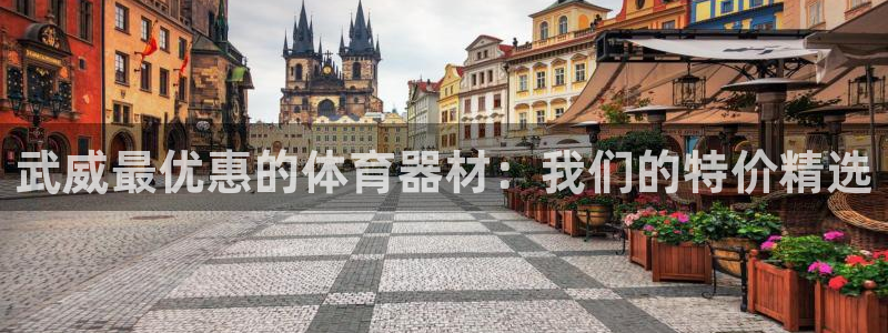 极悦平台注册流程详解图片：武威最优惠的体育器材：我们