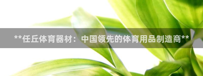 极悦娱乐登录拒绝访问怎么办理：**任丘体育器材：中国