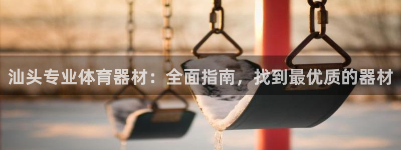 极悦平台是干嘛的软件：汕头专业体育器材：全面指南，找