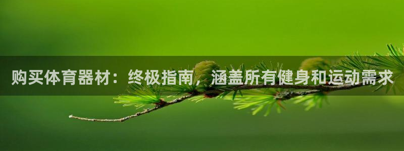 极悦平台是正规平台吗安全吗：购买体育器材：终极指南，