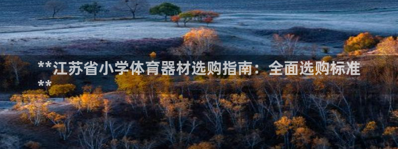 极悦平台决7O777：**江苏省小学体育器材选购指南