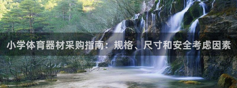 极悦娱乐的创始人背景故事简介：小学体育器材采购指南：