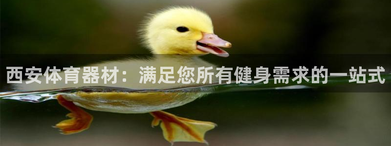 极悦平台登录入口注册：西安体育器材：满足您所有健身需