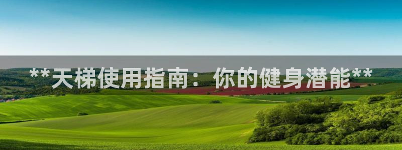 极悦平台注册失败如何解决呢：**天梯使用指南：你的健
