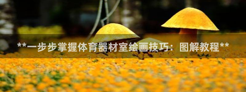 极悦注册：**一步步掌握体育器材室绘画技巧：图解教程