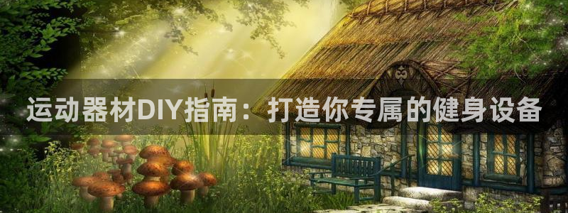 极悦官方网站入口网址大全：运动器材DIY指南：打造你