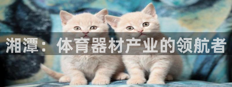极悦平台安全吗：湘潭：体育器材产业的领航者