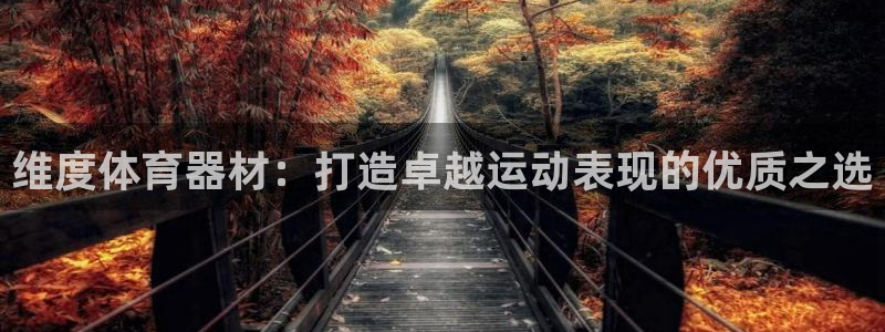 极悦平台注册官网网址：维度体育器材：打造卓越运动表现