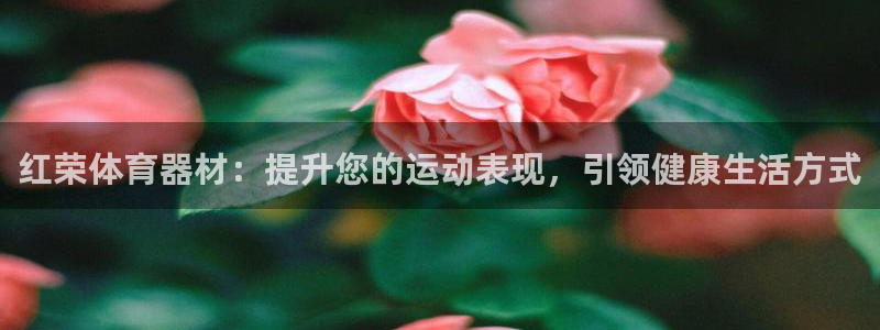 极悦平台登录不进去怎么回事儿：红荣体育器材：提升您的