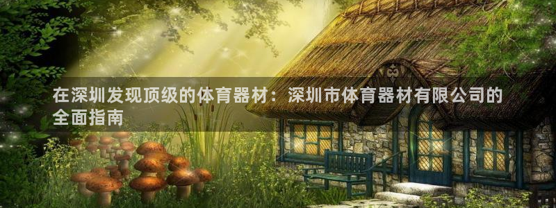 极悦平台安全吗是真的吗：在深圳发现顶级的体育器材：深