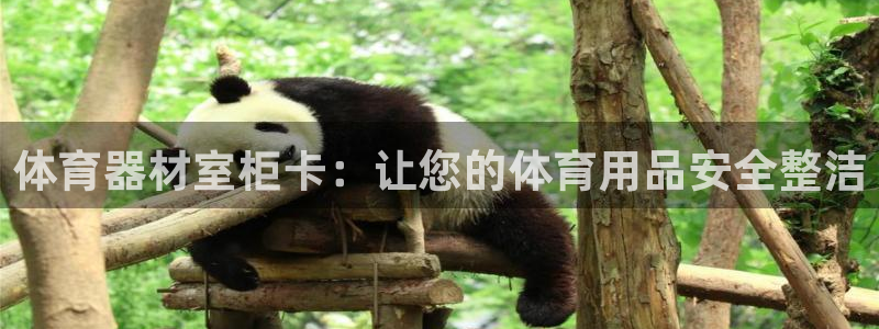极悦平台注册流程详解图：体育器材室柜卡：让您的体育用