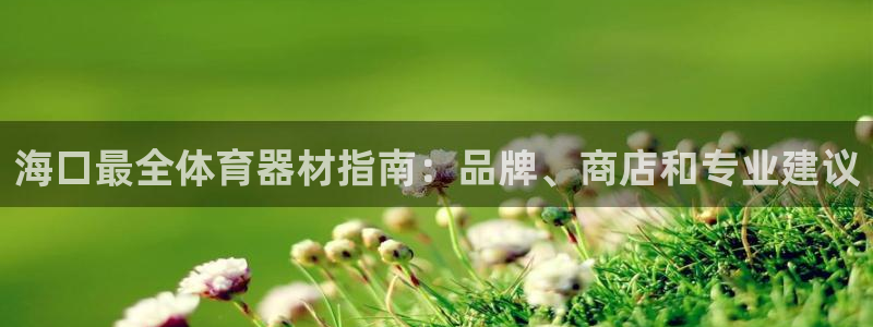 极悦生活家是什么平台的软件：海口最全体育器材指南：品