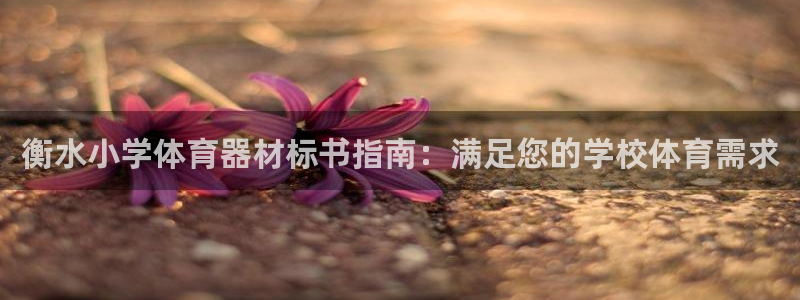 极悦注册：衡水小学体育器材标书指南：满足您的学校体育