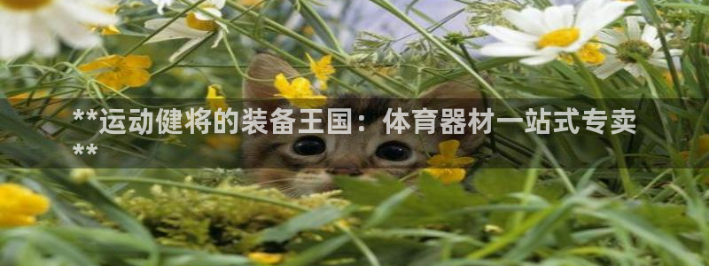 极悦平台平台注册方法与步骤图：**运动健将的装备王国