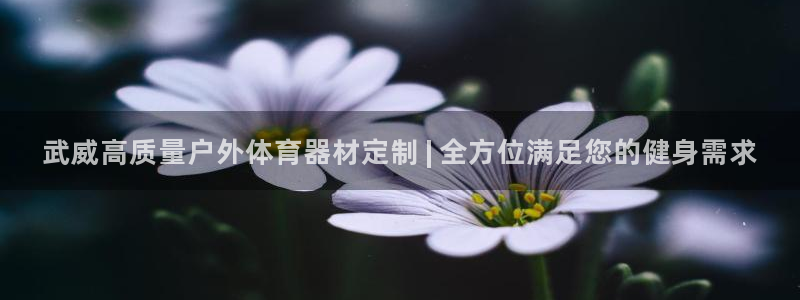极悦平台官网登录入口网址是多少：武威高质量户外体育器
