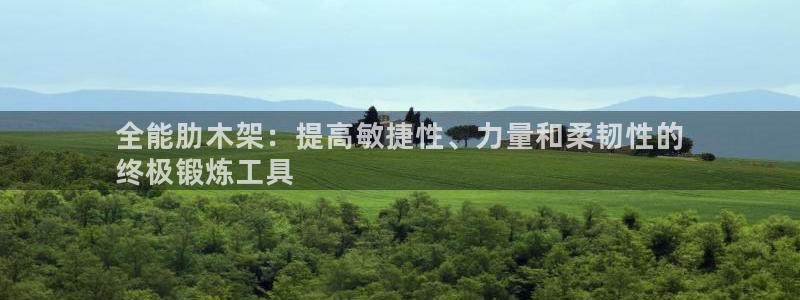 极悦平台官网入口网站：全能肋木架：提高敏捷性、力量和