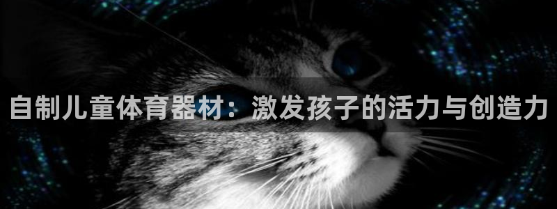 极悦平台官网入口下载：自制儿童体育器材：激发孩子的活