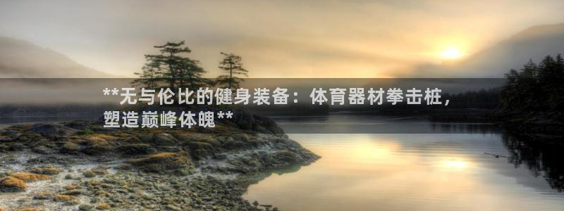 极悦平台客服团队怎么样：**无与伦比的健身装备：体育