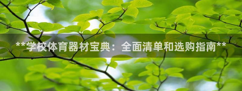 极悦平台代理怎么做的：**学校体育器材宝典：全面清单