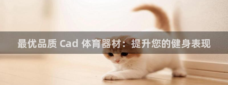 极悦平台官方网站登录：最优品质 Cad 体育器材：提