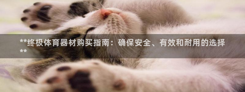 极悦平台官网入口登录：**终极体育器材购买指南：确保