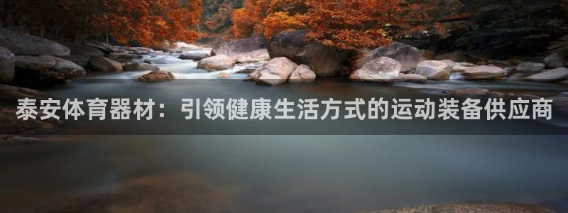 极悦娱乐官网入口网址：泰安体育器材：引领健康生活方式
