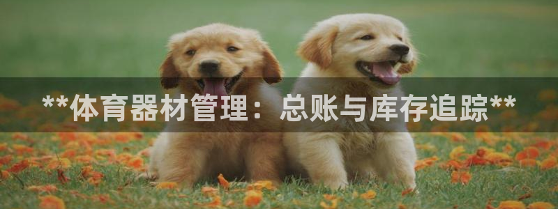 极悦娱乐贴吧百度：**体育器材管理：总账与库存追踪*
