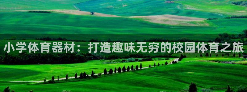 极悦注册：小学体育器材：打造趣味无穷的校园体育之旅