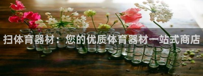 极悦平台官网入口登录：扫体育器材：您的优质体育器材一
