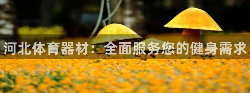 极悦平台客服团队名称：河北体育器材：全面服务您的健身
